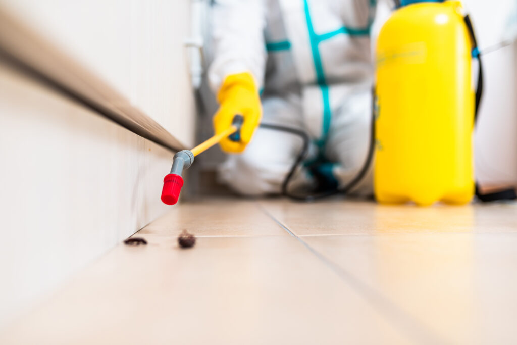 Mason Cockroach Experts