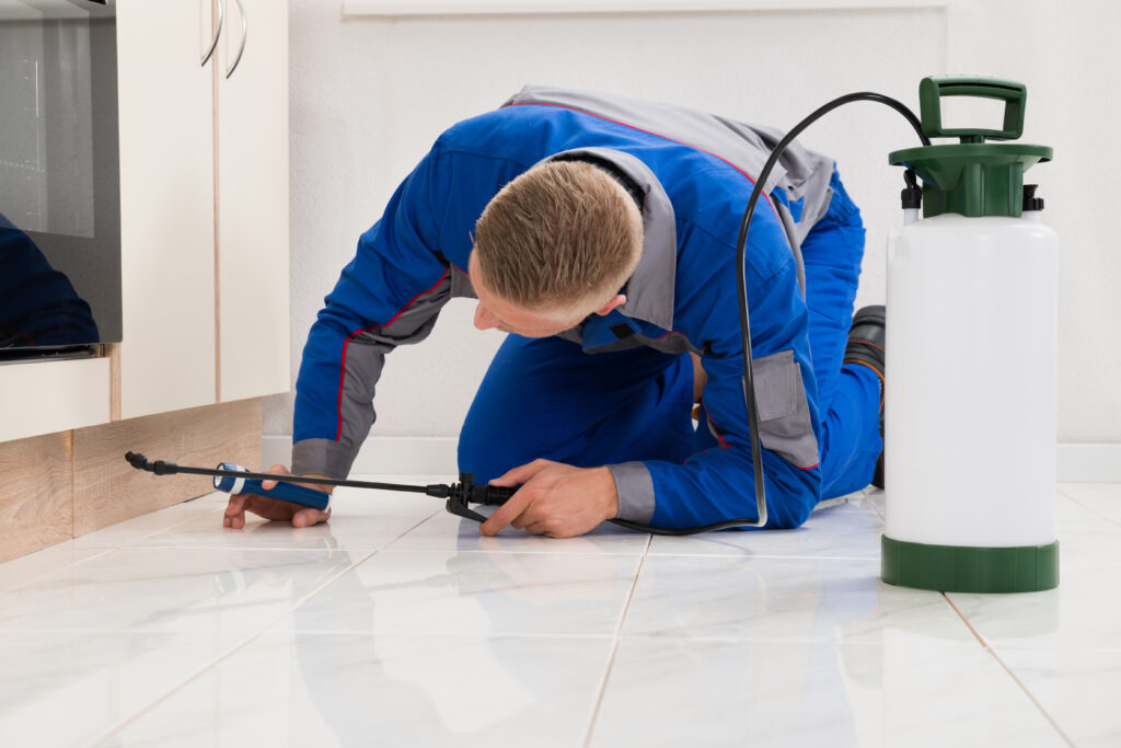 Mason Ant Control Xperts