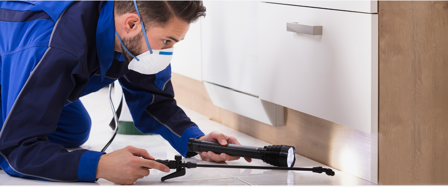 Mason commercial pest control