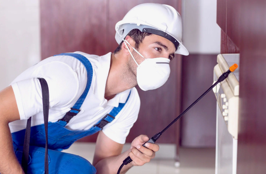 Mason termite treatment