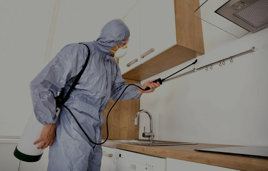 Mason residential pest control